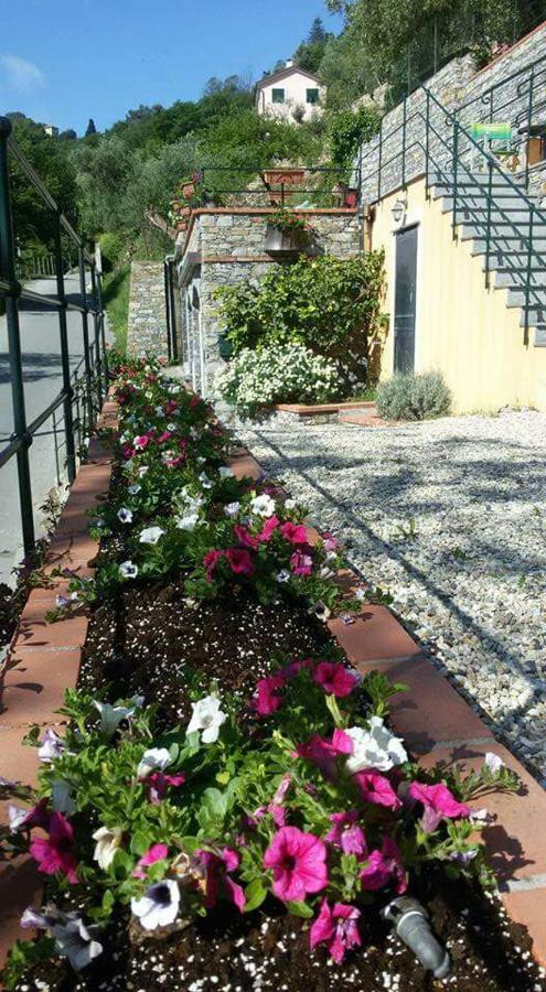 B&B Le Colline Di Bana Camogli Eksteriør billede