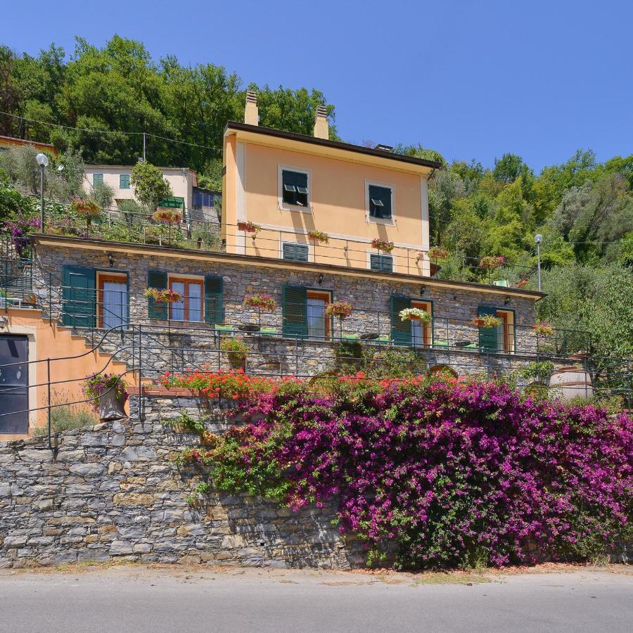 B&B Le Colline Di Bana Camogli Eksteriør billede